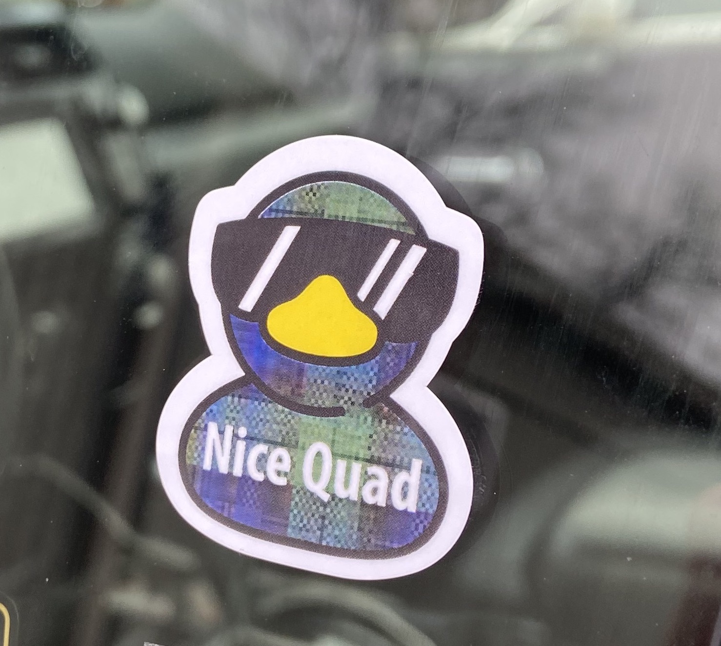 Duck Sticker With Shades